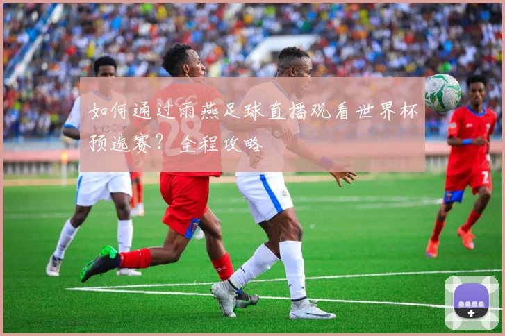 如何通过雨燕足球直播观看世界杯预选赛？全程攻略