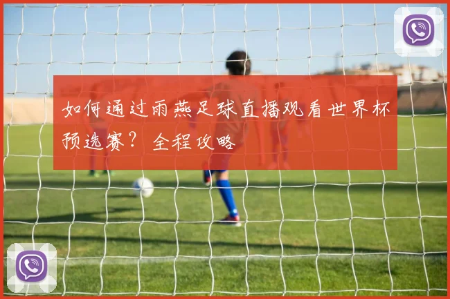 如何通过雨燕足球直播观看世界杯预选赛？全程攻略