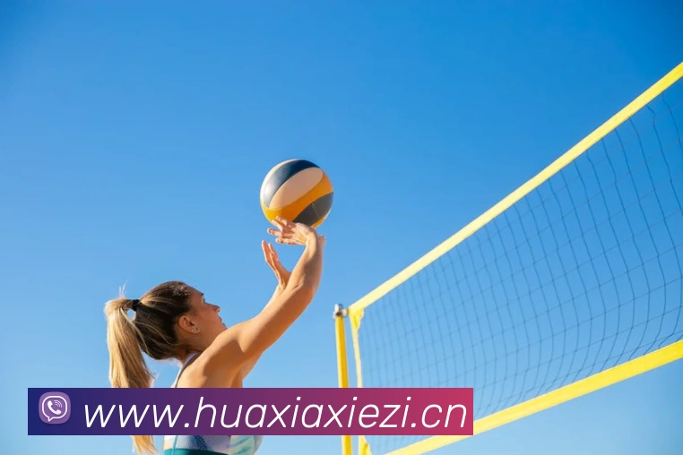 大阳城3官方娱乐网站平台生态图